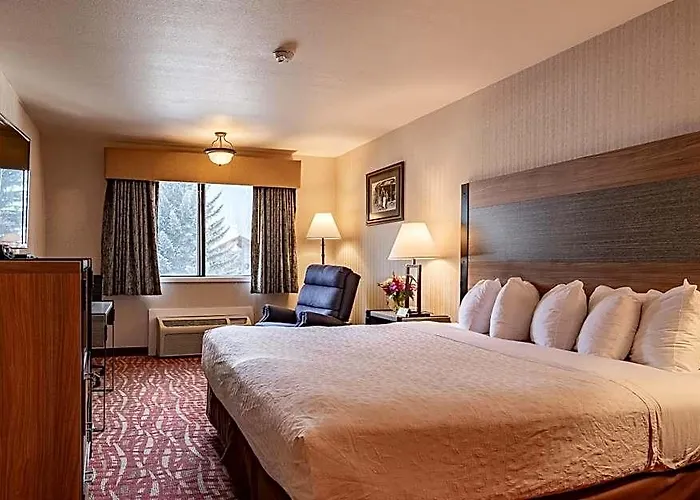 Motel 49'er & 3*