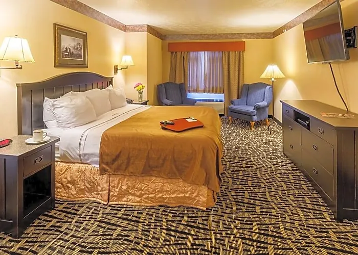 49'er & Motel
